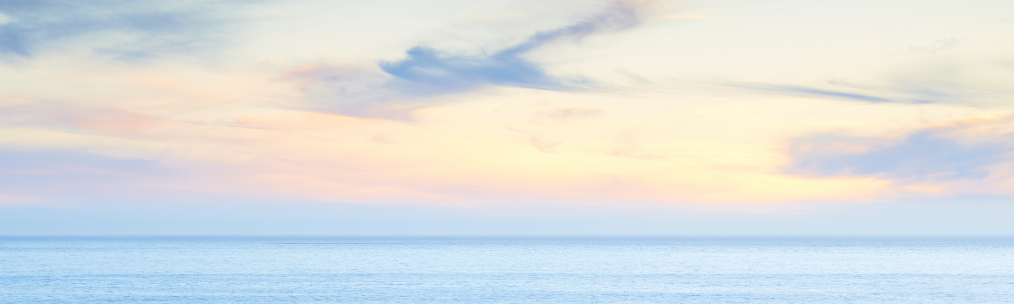 Dr. Donna Lieberman, Psy. D
Licensed Psychologist & Certified Psychoanalyst